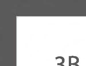 3B
